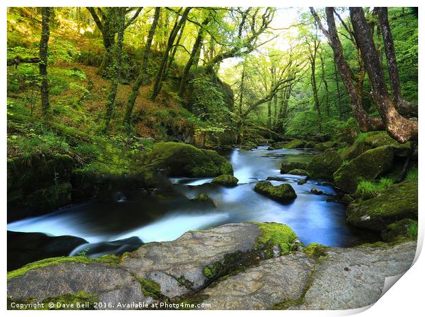 Woodland Water Print by Dave Bell