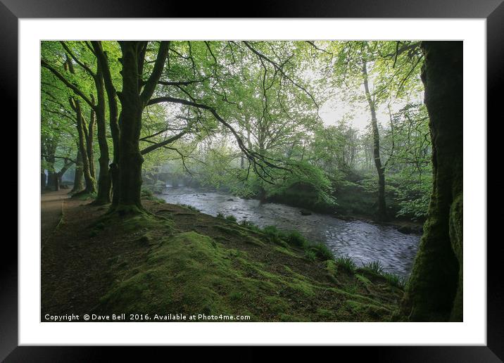 Flowing Through The Trees Framed Mounted Print by Dave Bell