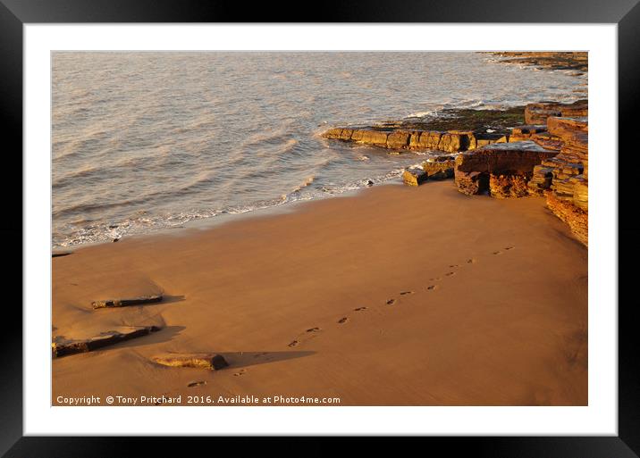 Footsteps in the Sand Framed Mounted Print by Tony Pritchard
