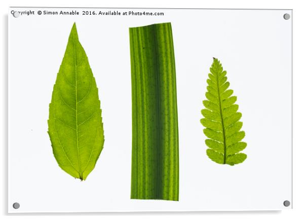 We Three Leaves Acrylic by Simon Annable