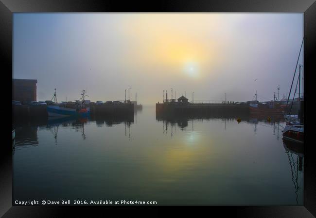 Padstow Harbour Framed Print by Dave Bell