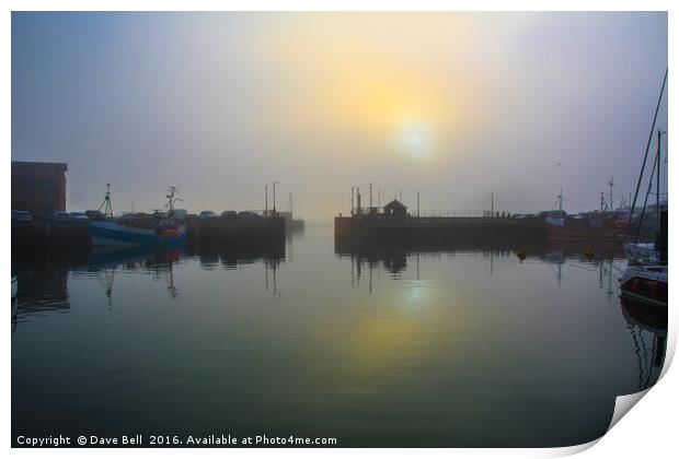 Padstow Harbour Print by Dave Bell