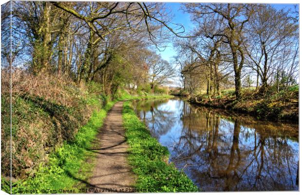 Walking along the Union Canal Canvas Print by Tom Gomez