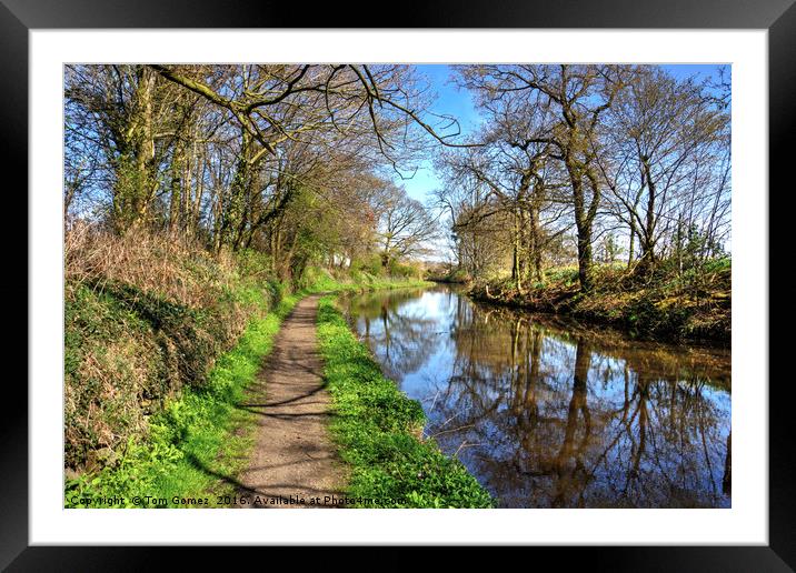 Walking along the Union Canal Framed Mounted Print by Tom Gomez