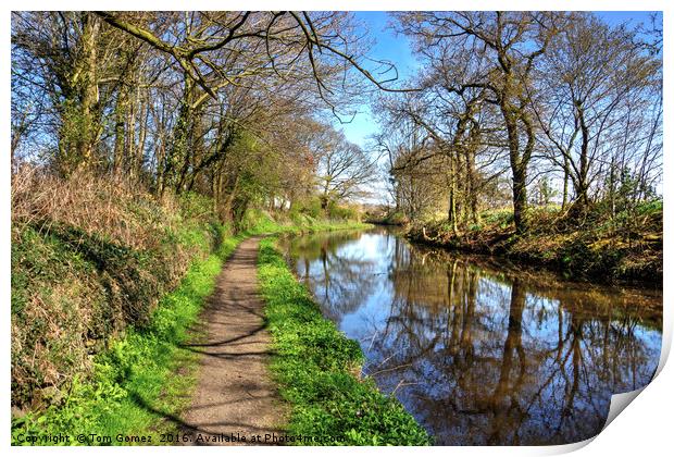 Walking along the Union Canal Print by Tom Gomez