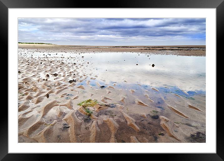 Open Sand Framed Mounted Print by Stephen Mole