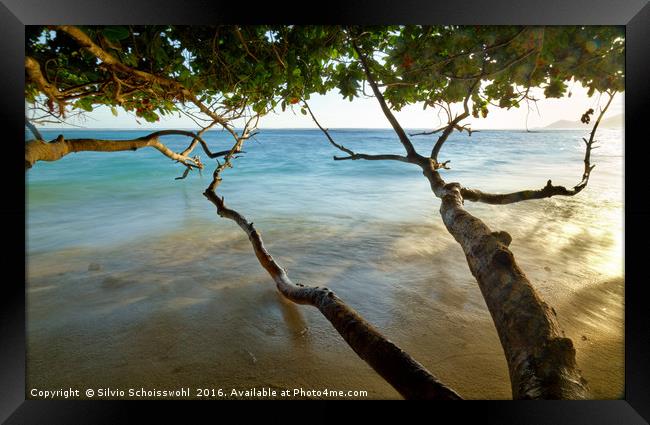 Under the tree Framed Print by Silvio Schoisswohl