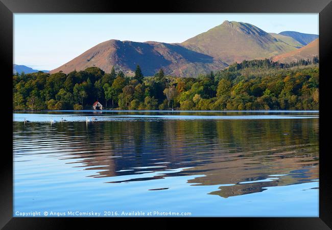 Derwentwater / Catbells reflections with swans Framed Print by Angus McComiskey