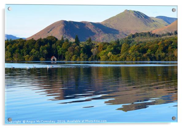 Derwentwater reflections with swans Acrylic by Angus McComiskey