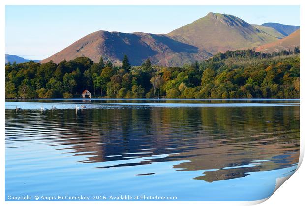 Derwentwater reflections with swans Print by Angus McComiskey