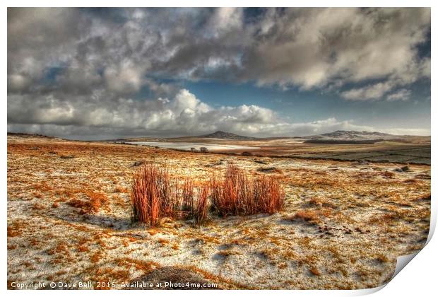 Bodmin Moor Snow Print by Dave Bell