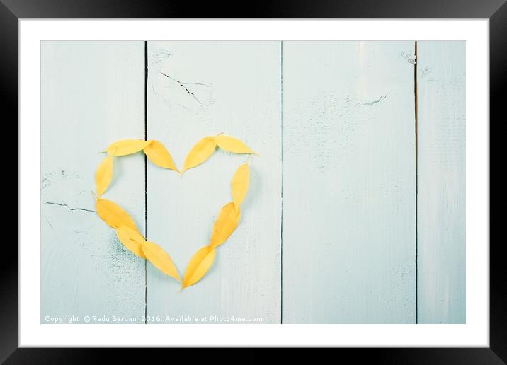 Heart Shape Yellow Autumn Leaves On Turquoise Wood Framed Mounted Print by Radu Bercan