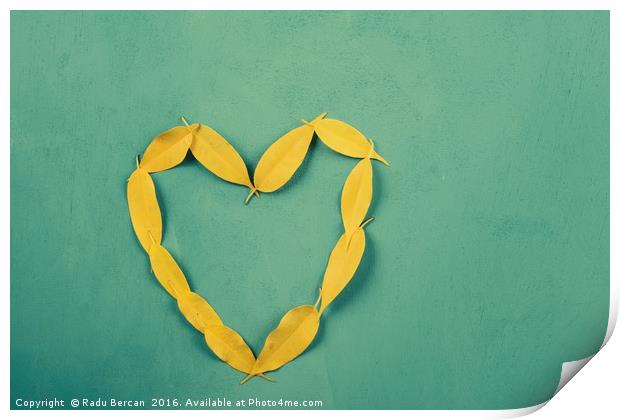 Heart Shape Yellow Autumn Leaves On Turquoise Wood Print by Radu Bercan