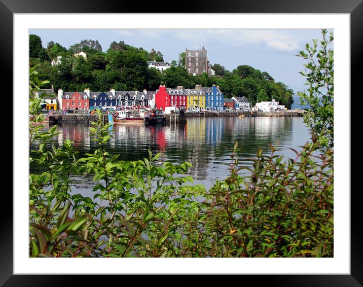 Tobermory Bay                               Framed Mounted Print by alan todd