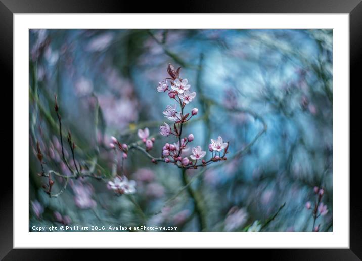 Turning into Spring No3 Framed Mounted Print by Phil Hart