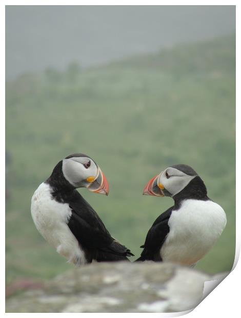 Puffin Therapy!                                Print by alan todd