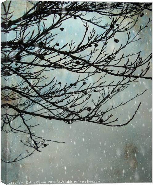 Winter Days Canvas Print by Ally Coxon