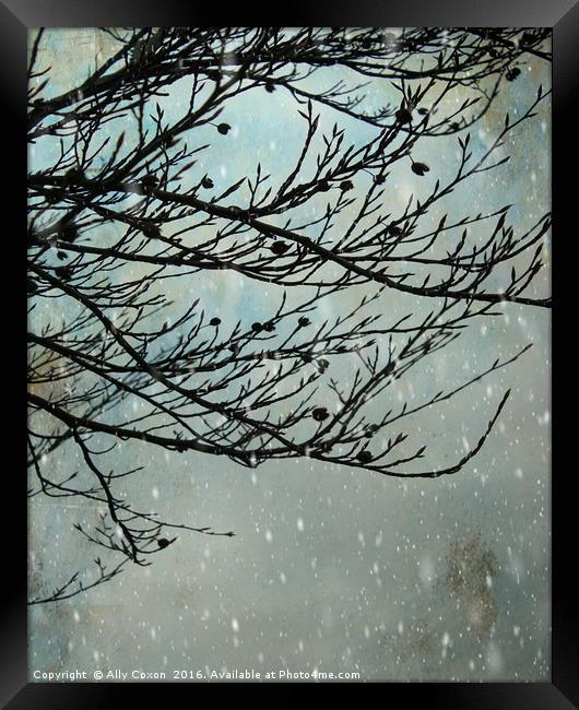Winter Days Framed Print by Ally Coxon
