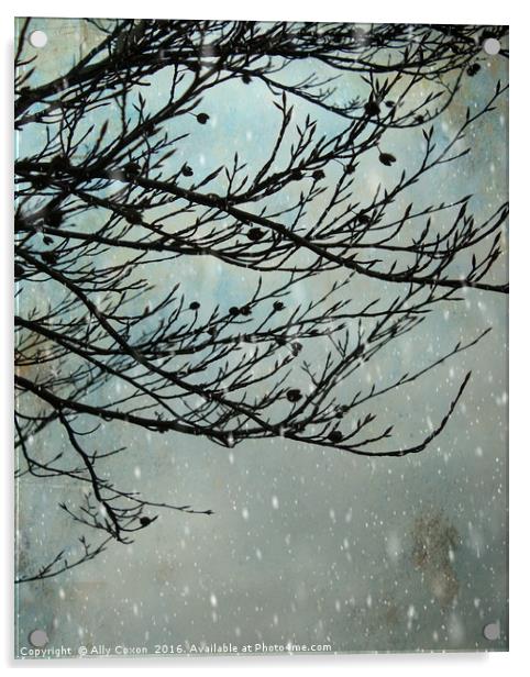 Winter Days Acrylic by Ally Coxon