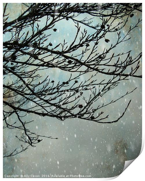 Winter Days Print by Ally Coxon