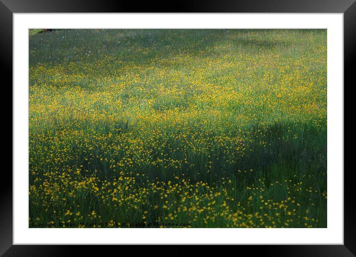 Flowers by the valley Framed Mounted Print by Manu Mulakkal