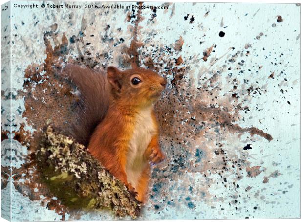 Red Squirrel in Danger Canvas Print by Robert Murray