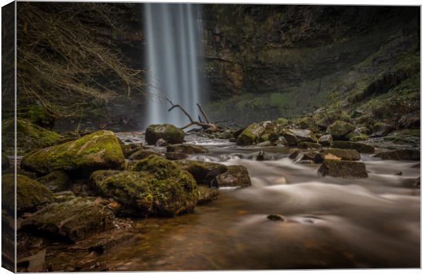 Hendryd falls with dead tree in the water. Canvas Print by Bryn Morgan