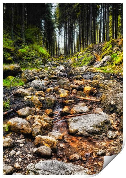 flowing stream in the forest Print by Paul Boazu