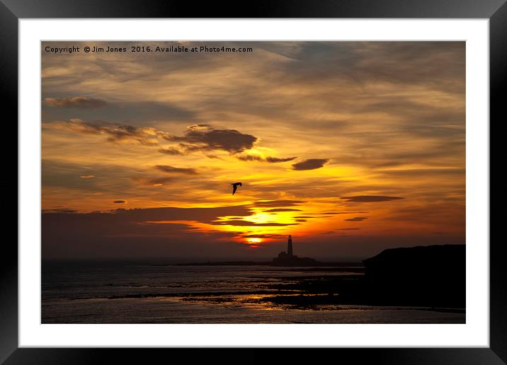 The early bird Framed Mounted Print by Jim Jones