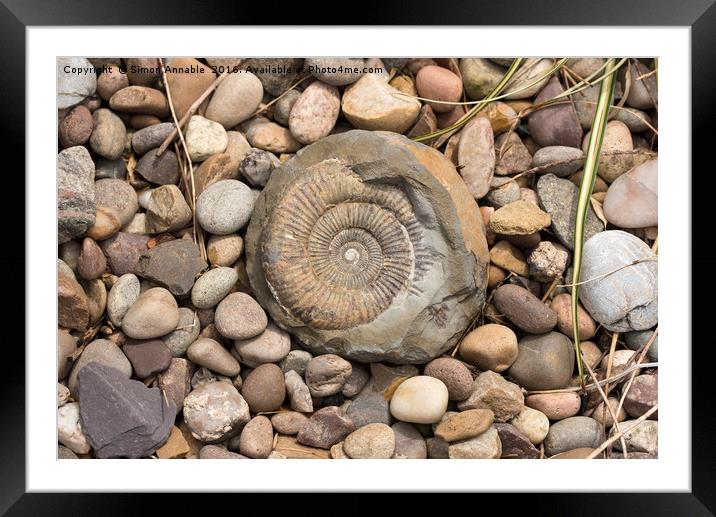 Beachcombing Find Framed Mounted Print by Simon Annable