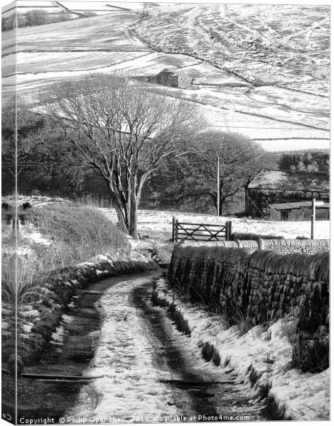 Snow on Badger Lane Canvas Print by Philip Openshaw