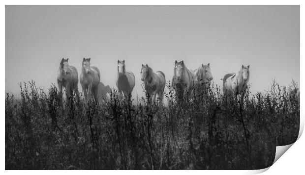 Horses in the early morning mist Print by Jason Feather