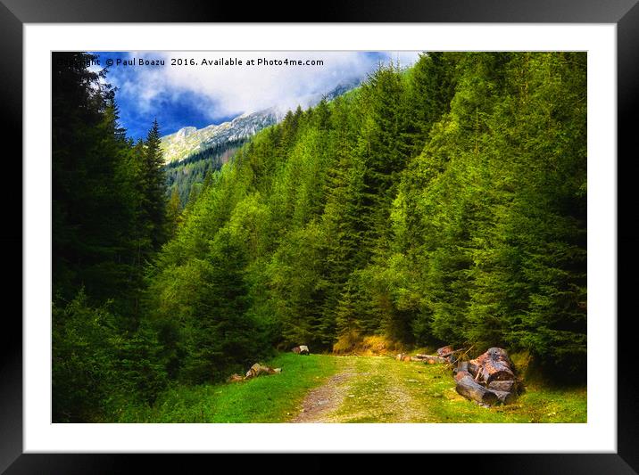 footpath on foothills Framed Mounted Print by Paul Boazu