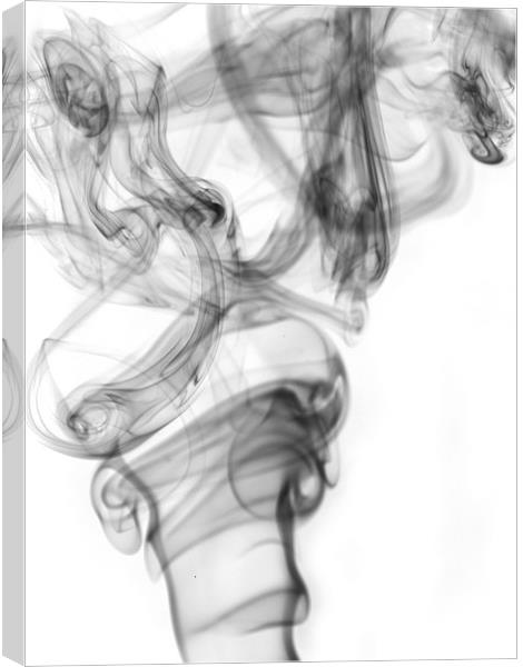 Smoke 1 Canvas Print by Alex Horton-Howe