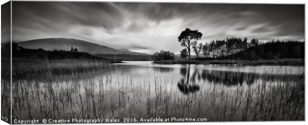 Loch Ba, Rannoch Moor, Glencoe, Scotland, UK Canvas Print by Creative Photography Wales