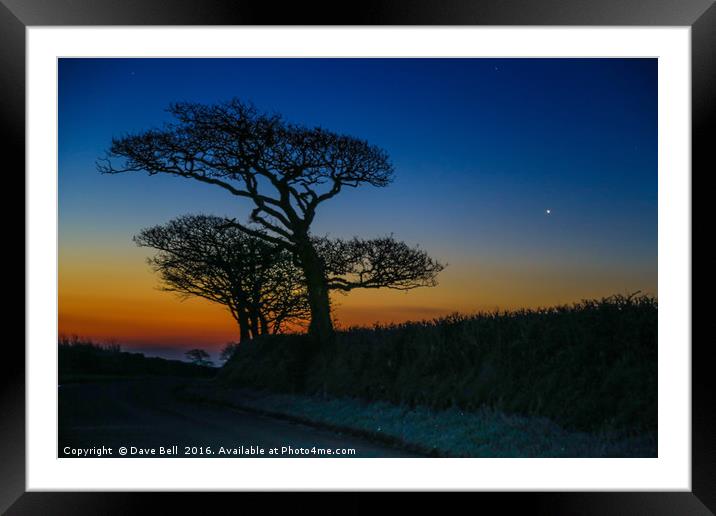 Oak Tree Sunrise Framed Mounted Print by Dave Bell