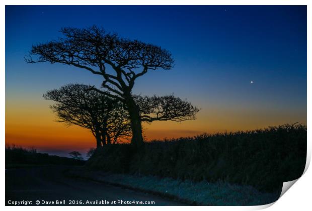 Oak Tree Sunrise Print by Dave Bell