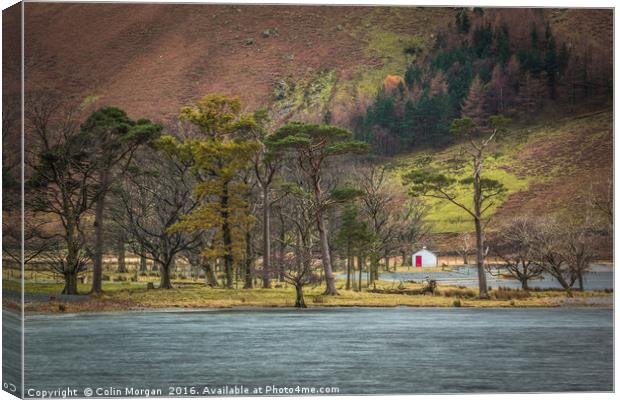 Buttermere Pines Cottage Canvas Print by Colin Morgan