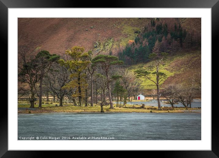 Buttermere Pines Cottage Framed Mounted Print by Colin Morgan