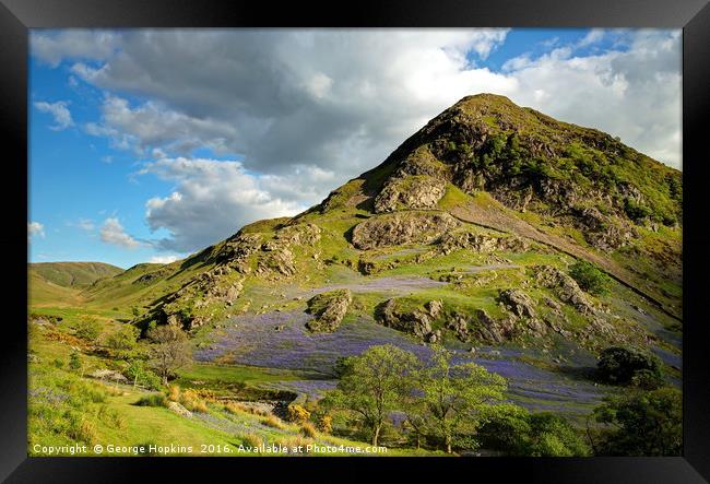 The Bluebells of Rannerdale Framed Print by George Hopkins