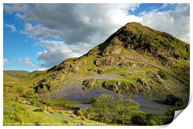 The Bluebells of Rannerdale Print by George Hopkins