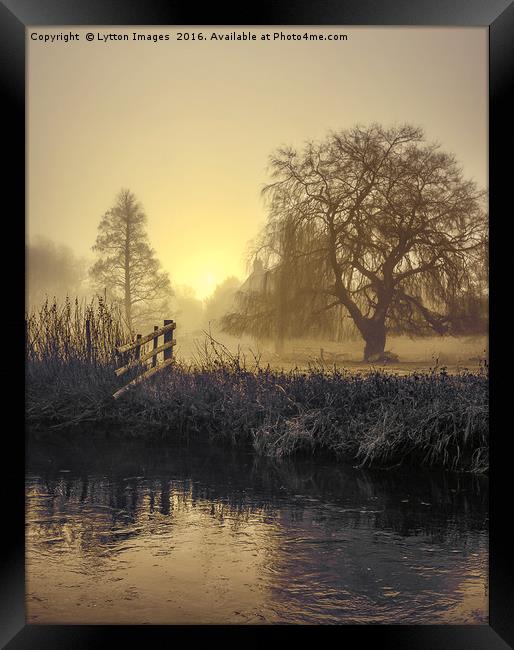 Golden Morning on the river Framed Print by Wayne Lytton