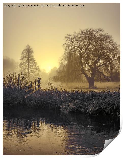 Golden Morning on the river Print by Wayne Lytton