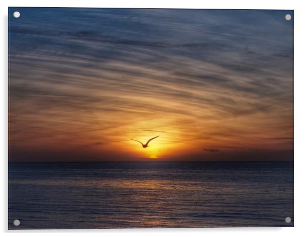Seagull Sunset Acrylic by Victor Burnside