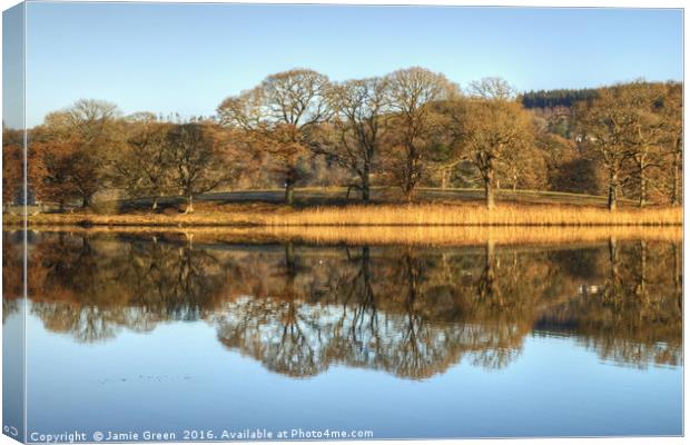 Esthwaite Water Reflections Canvas Print by Jamie Green