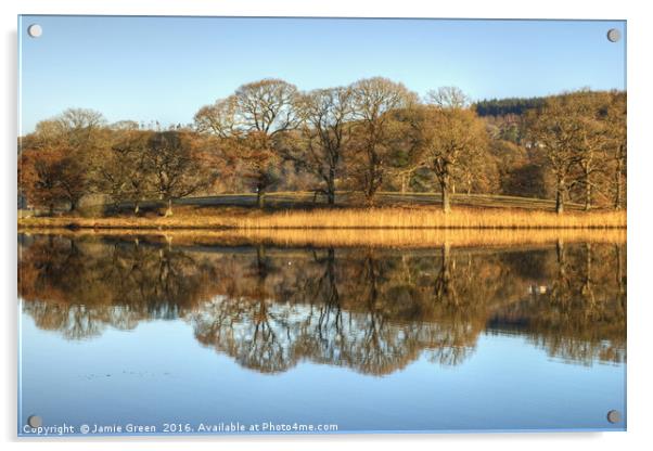 Esthwaite Water Reflections Acrylic by Jamie Green