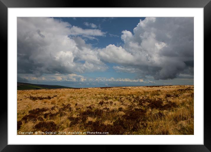 Devon Sky Framed Mounted Print by Tom Dolezal