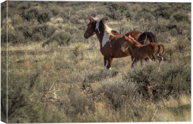 Running with Mom Canvas Print by Belinda Greb