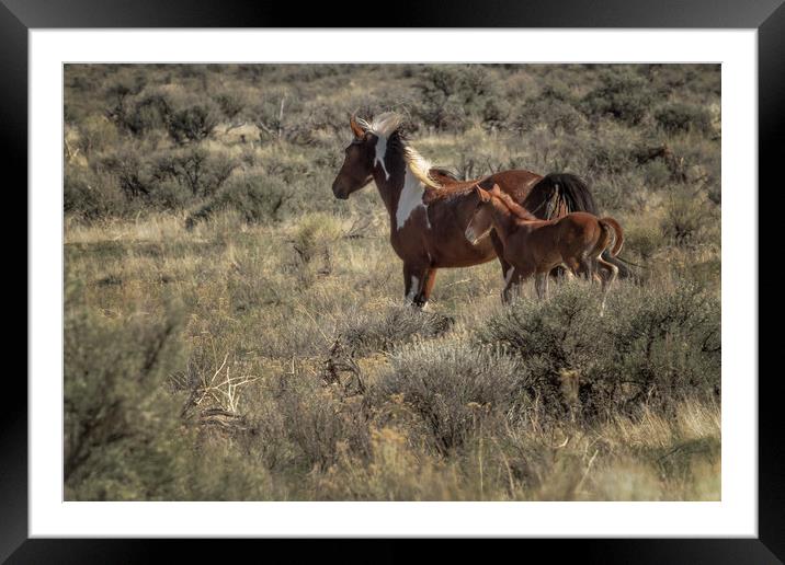 Running with Mom Framed Mounted Print by Belinda Greb