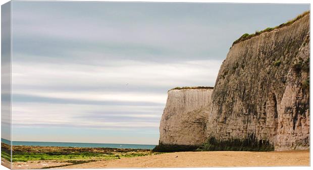 White Chalk Cliff Canvas Print by George Thurgood Howland